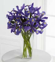 The FTD� Iris Riches� Bouquet