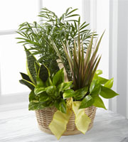 The FTD� French Garden� 