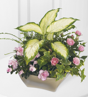 The FTD� Garden of Grace� Planter